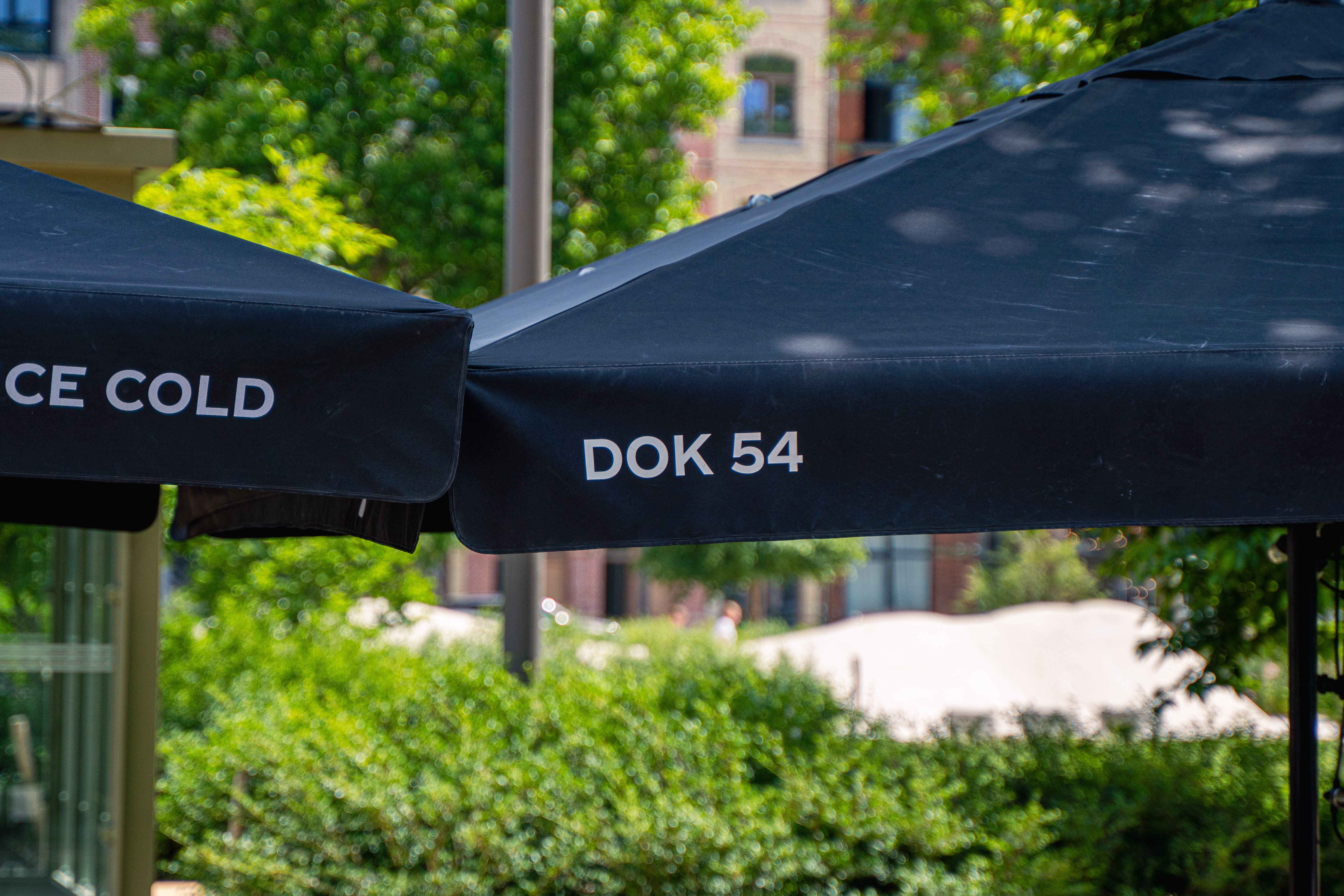 DOK 54